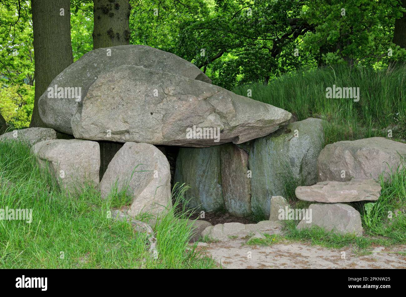 Tomba megalitica, Lancken-Granitz, Ruegen, Mar baltico, Meclemburgo-Vorpommern, Germania Foto Stock