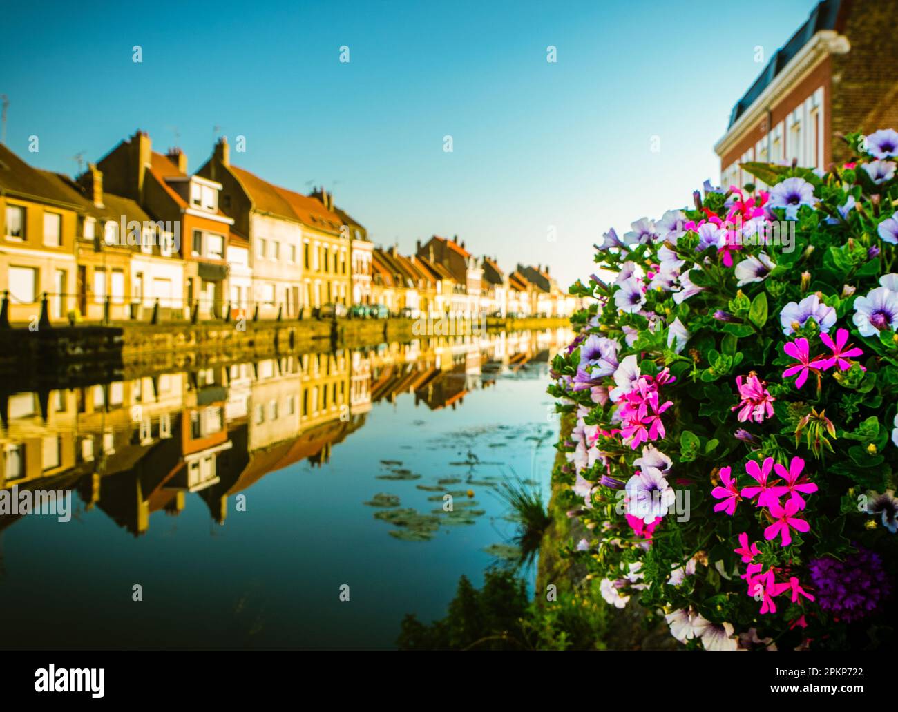 Calma l'aa canale acqua del fiume con fiori in fiore bouquet e linea di case di architettura tradizionale francese moderna nella città di saint-omer Foto Stock