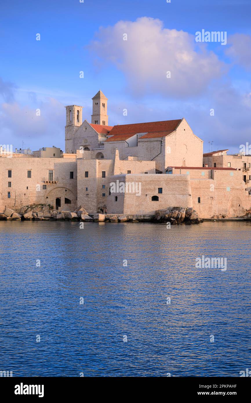 Centro storico di Giovinazzo in Puglia: Vista sul porto con la Cattedrale di Santa Maria Assunta in stile romanico pugliese. Foto Stock