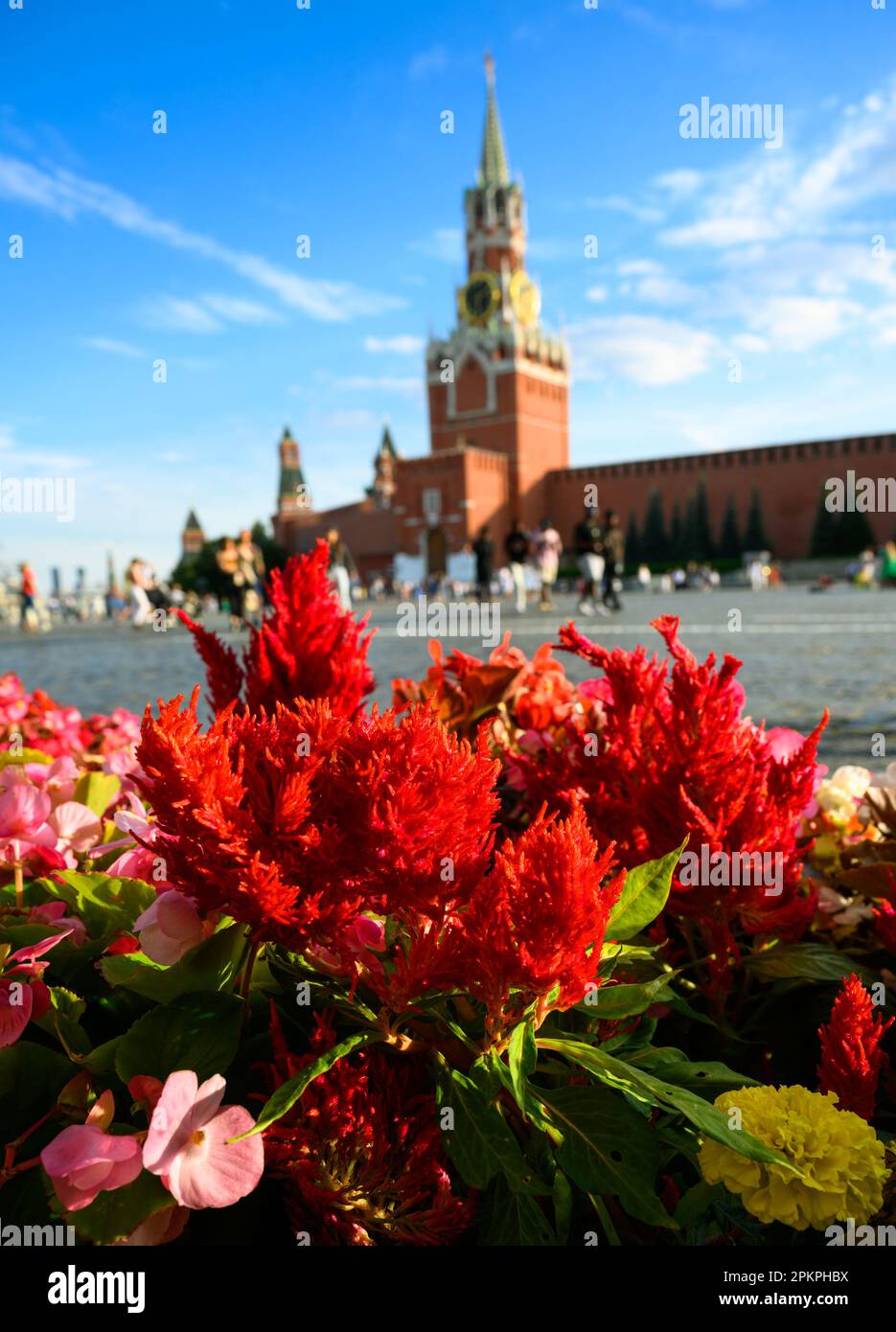 Fiori in Piazza Rossa in estate, Mosca, Russia. Famoso Cremlino di Mosca sotto il cielo blu sullo sfondo. Questo posto è attrazione turistica di Mosca. Tema Foto Stock