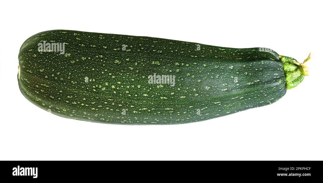 Zucchine di midollo vegetale isolate su fondo bianco. Fotografia di una zucca fresca. Tema delle zucchine, cibo biologico, natura. Foto Stock
