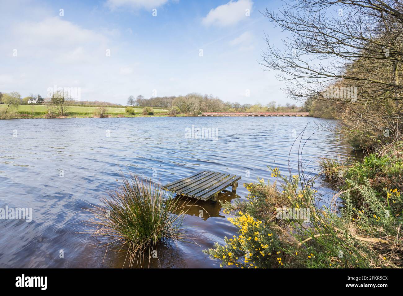 Piattaforma di pesca sulla diga di Carr Mill vicino a St Helens raffigurata di fronte al lungo ponte Nineteen Arches. Foto Stock