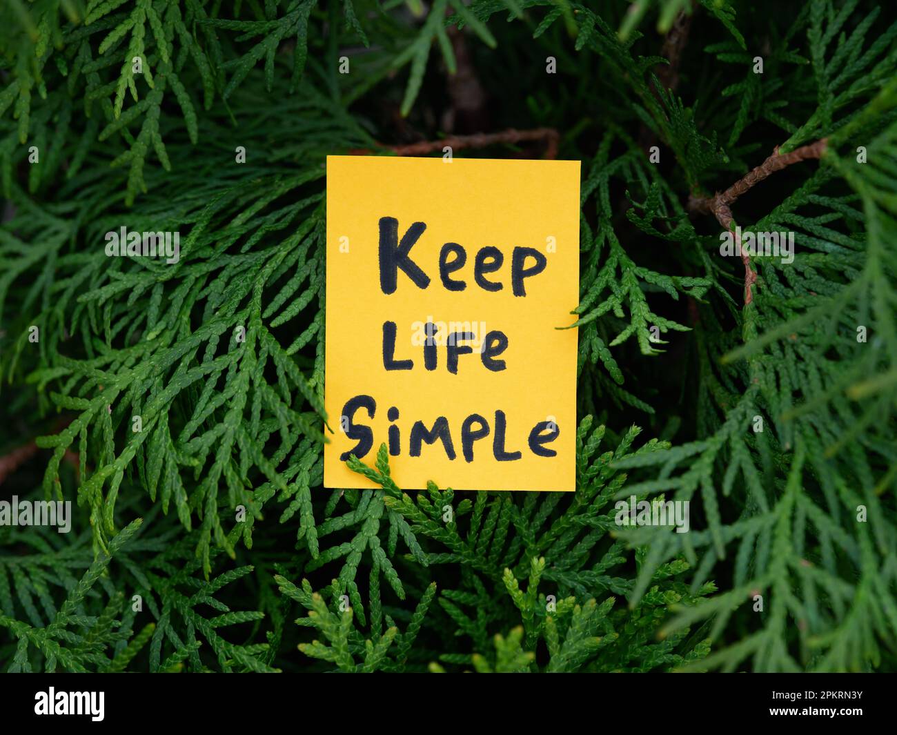 Una nota di carta gialla con la frase Keep Life Simple su di essa appesa ad un albero di arborvitae. Primo piano. Foto Stock