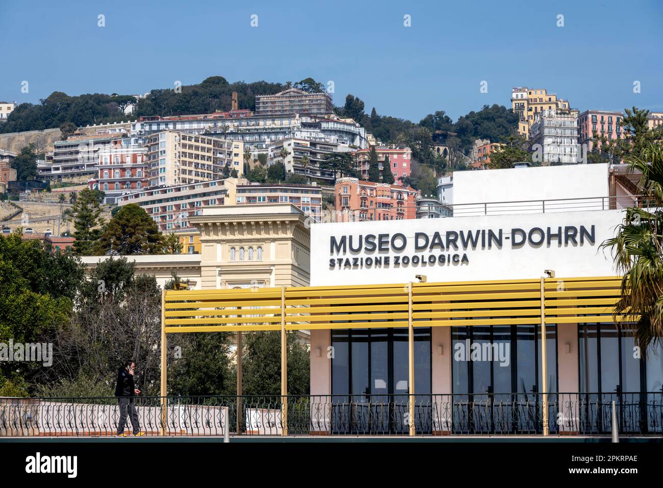 Italien, Neapel, Viale Anton Dohrn, DaDoM - Museo Darwin Dohrn, Foto Stock