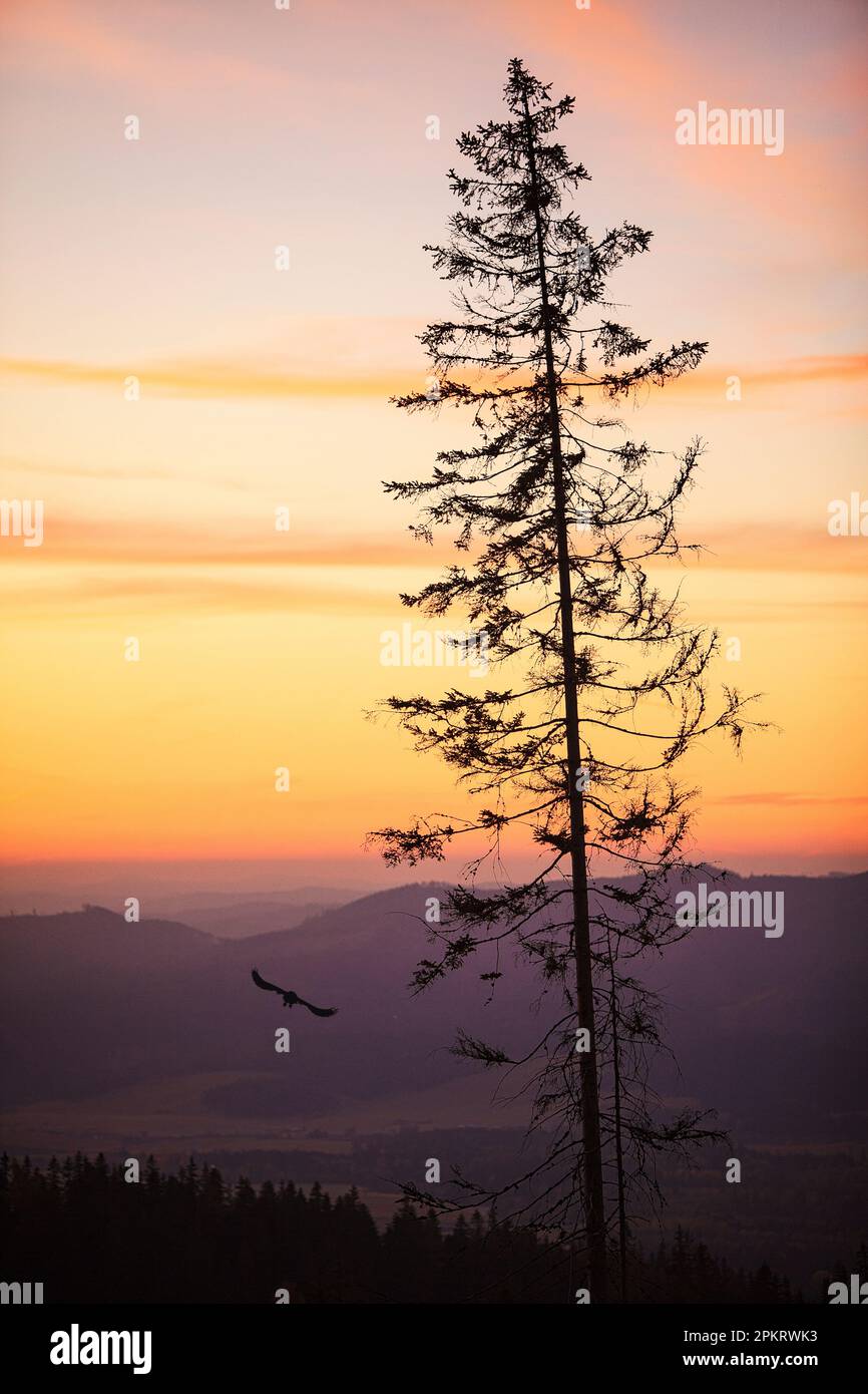 Vista all'alba dal Parco Nazionale dei Monti Tatra in Slovacchia Foto Stock
