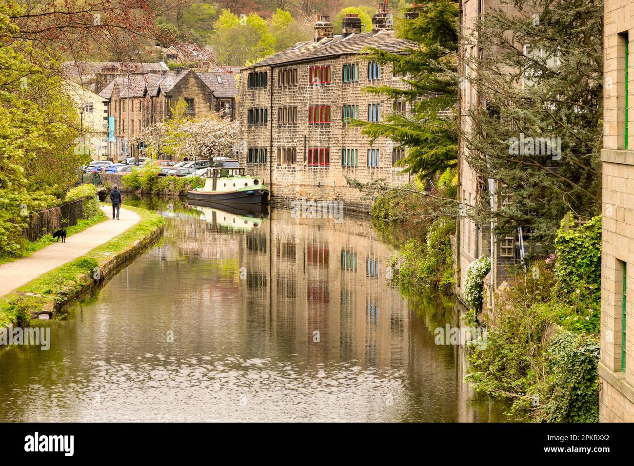 27 aprile 2022-Hebden Bridge, West Yorkshire, UK - una vista lungo il canale a Hebden Bridge durante la primavera. una persona che cammina un cane sul percorso di traino. Foto Stock