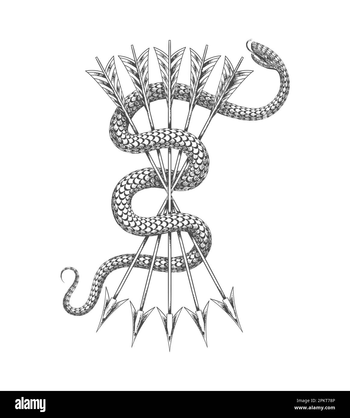 Tatuaggio di serpente e mazzo di frecce Esoterico simbolo medievale isolato su bianco. Illustrazione vettoriale. Illustrazione Vettoriale