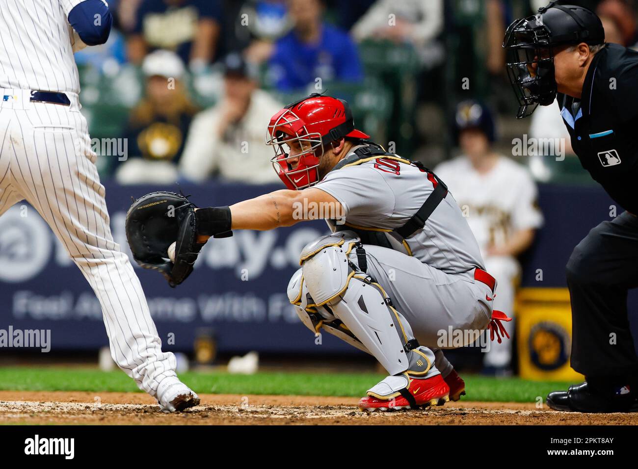 8 Aprile 2023: St Il Catcher Louis Cardinals Willson Contreras (40 ...