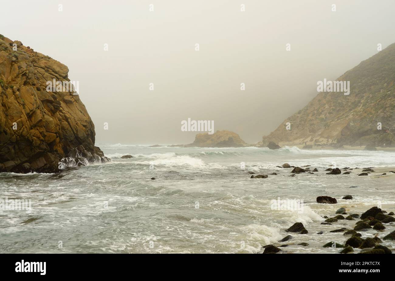Giornata di nebbia al parco statale Julia Pfeiffer California Foto Stock