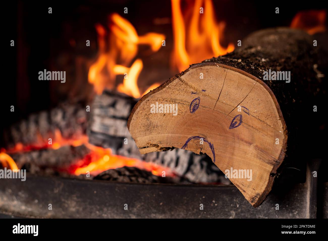 Aumento dei prezzi per il concetto di legna da ardere. Log con triste sorriso in camino bruciante. Foto Stock