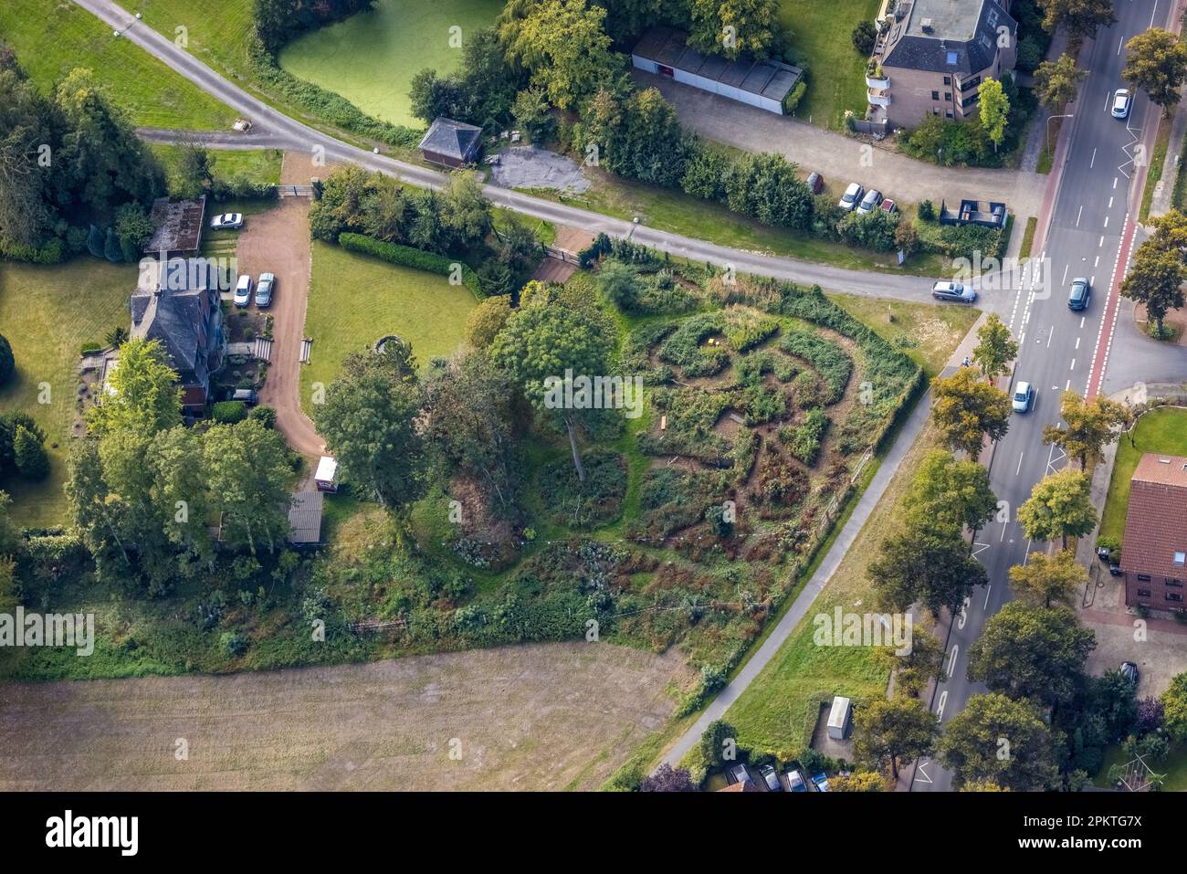 Veduta aerea, angolo giardino Marker Allee nel quartiere Mitte di Hamm, zona Ruhr, Renania settentrionale-Vestfalia, Germania, DE, Europa, Hamm, Fotograp aerea Foto Stock