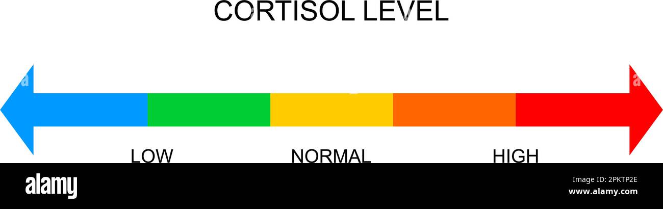 Scala orizzontale del cortisolo. Grafico dei livelli di risposta alle sollecitazioni del corpo da basso a alto isolato su sfondo bianco. Illustrazione piatta vettoriale. Illustrazione Vettoriale
