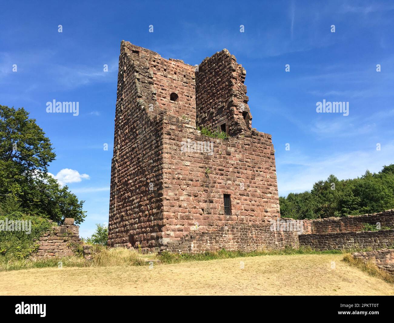 Lützelburg, Burgruine Château de Lutzelbourg im lothringischen Teil der Vogesen Foto Stock