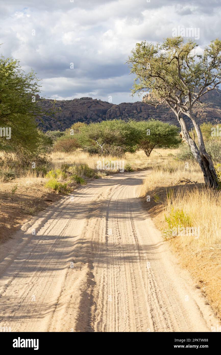 sentiero di sabbia nella regione di erongo in namibia Foto Stock