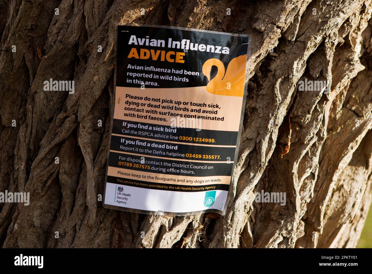 Influenza aviaria, influenza aviaria, avviso poster sulle rive del fiume Avon a Stratford-upon-Avon Foto Stock Influenza aviaria, influenza aviaria, avviso poster sulle rive del fiume Avon a Stratford-upon-Avon Foto Stock