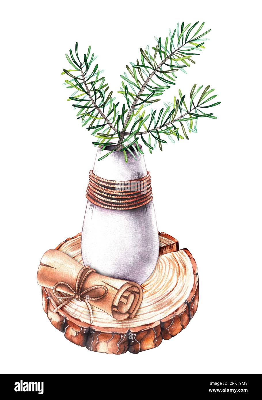 Rametto d'acqua di aghi di pino in vaso con un rotolo e un taglio di sega di un albero su uno sfondo bianco. Illustrazione isolata per la decorazione del menu, pac Foto Stock