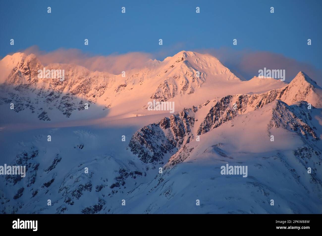 Picchi rossi Foto Stock