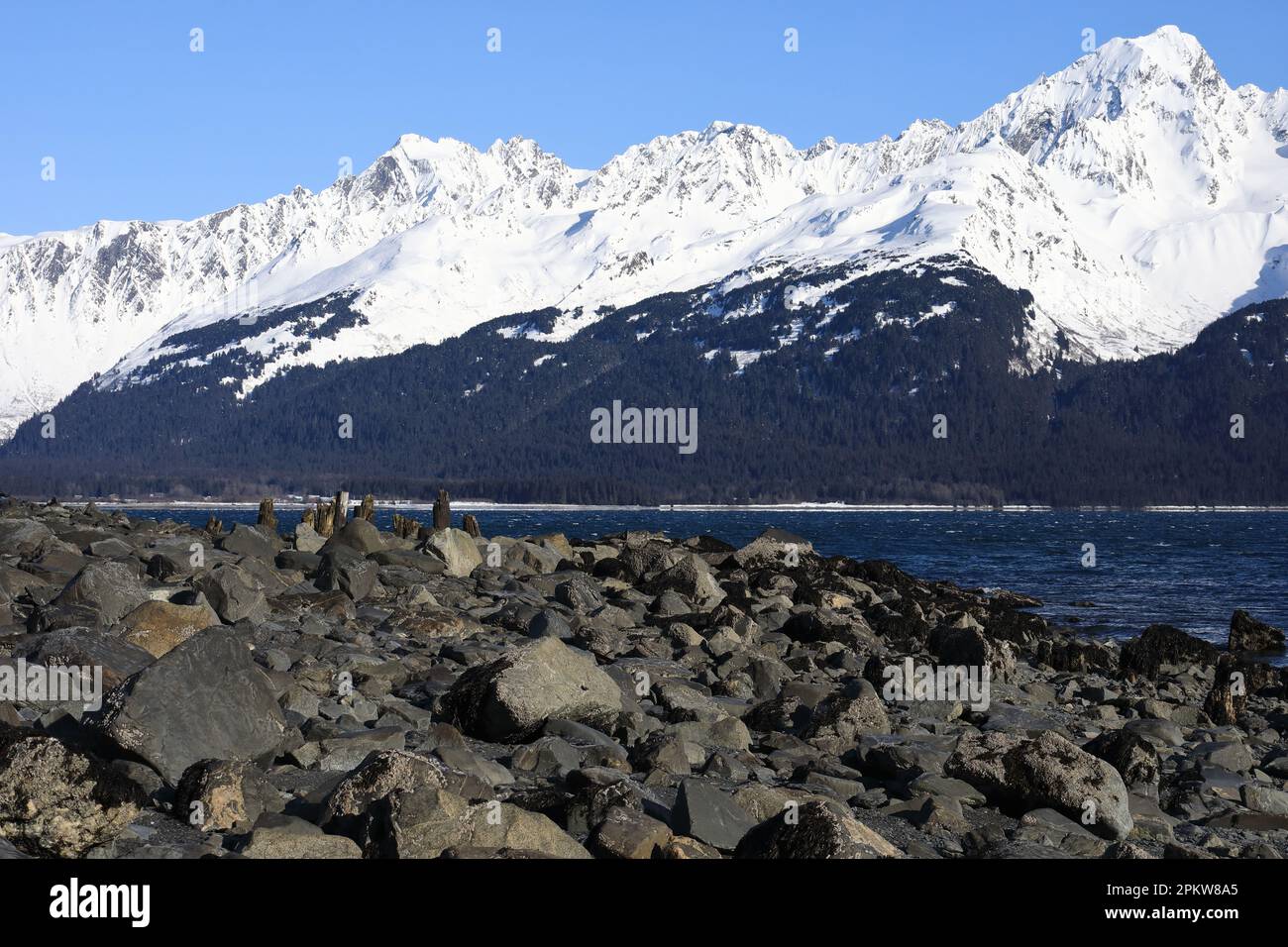 Coste di Seward Foto Stock