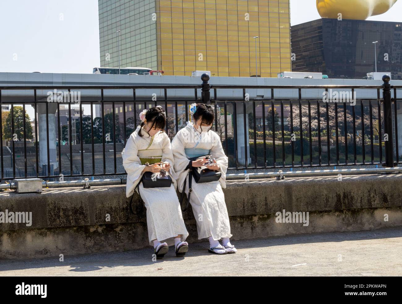 Tokyo, Giappone - 20 marzo 2023: I visitatori godono della fioritura dei ciliegi (Sakura) nel Parco Hanakawado lungo il fiume Sumida, Tokyo, Giappone Foto Stock