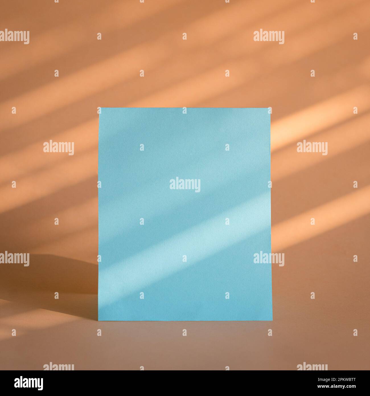 Foglio di carta bianco blu con sfondo beige e luce solare e ombre. Modello del marchio aziendale. Foto Stock