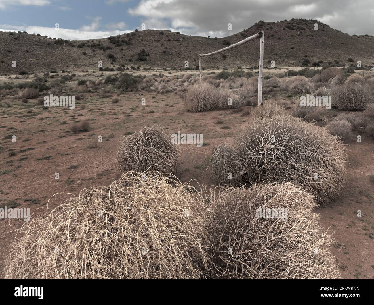 Arbusti di Karoo asciutti, soffiati dal vento, si raccolgono su un campo da calcio della Comunità di Rooiberg a nord di Graaf Reinet. Foto Stock