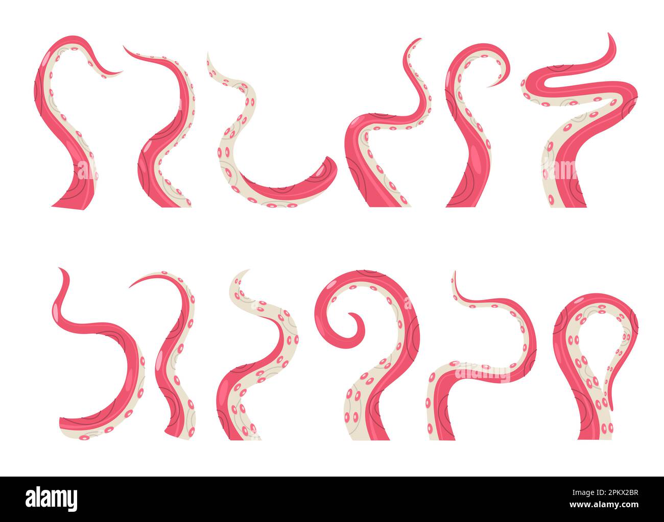 Collezione di tentacoli di polipo. Simpatici cefalopodi in pose diverse, illustrazioni colorate e giocose. Set grafico vettoriale creatura marina di octo Illustrazione Vettoriale