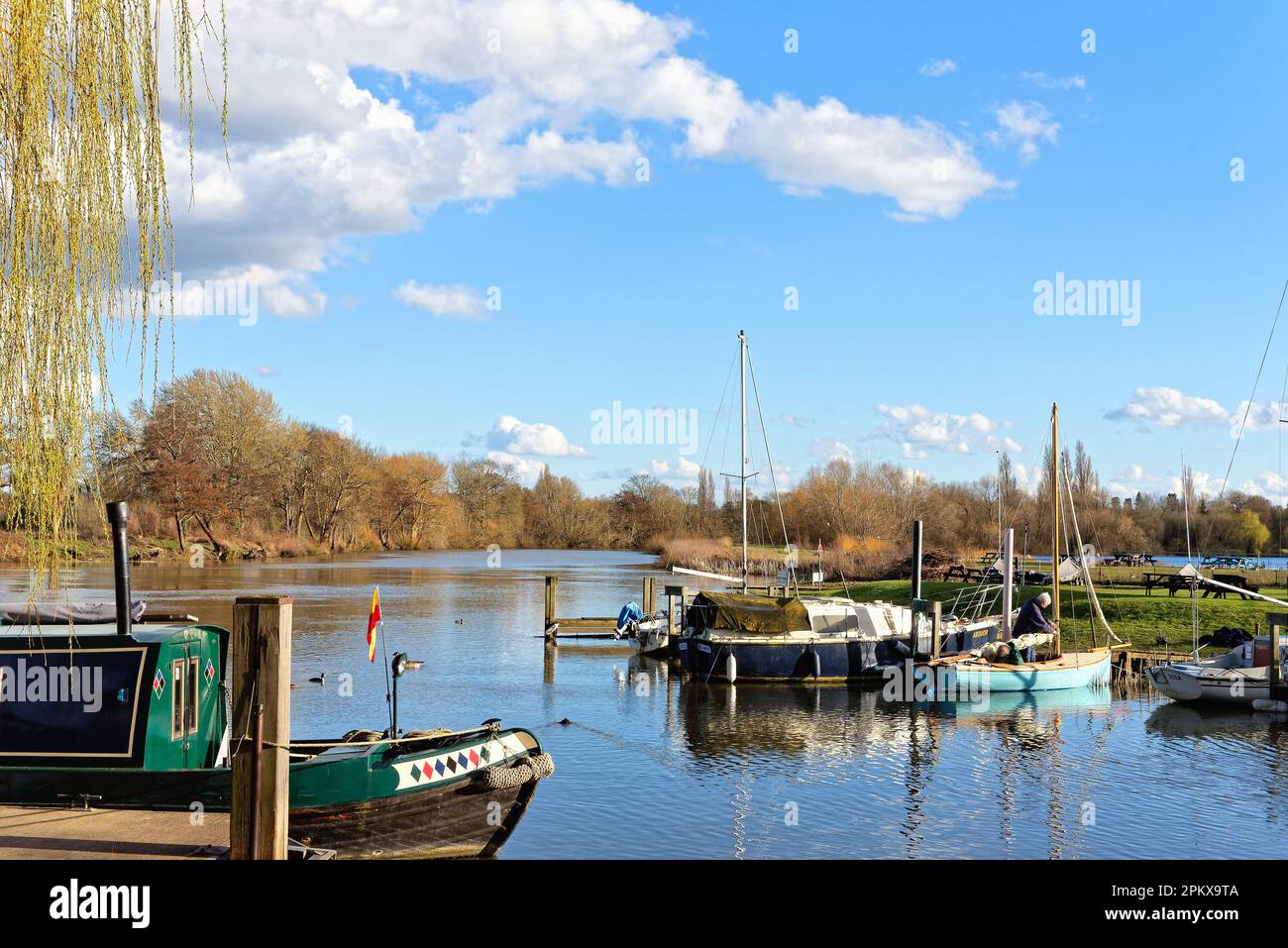 Una tranquilla giornata di primavera soleggiata sul fiume Tamigi con yacht ormeggiati in primo piano a Shepperton Surrey Inghilterra UK Foto Stock