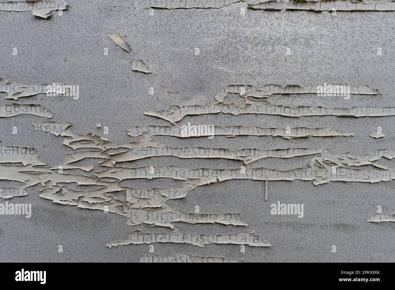 Foto di un testo stampato rovinato dal tempo e da elementi naturali Foto Stock