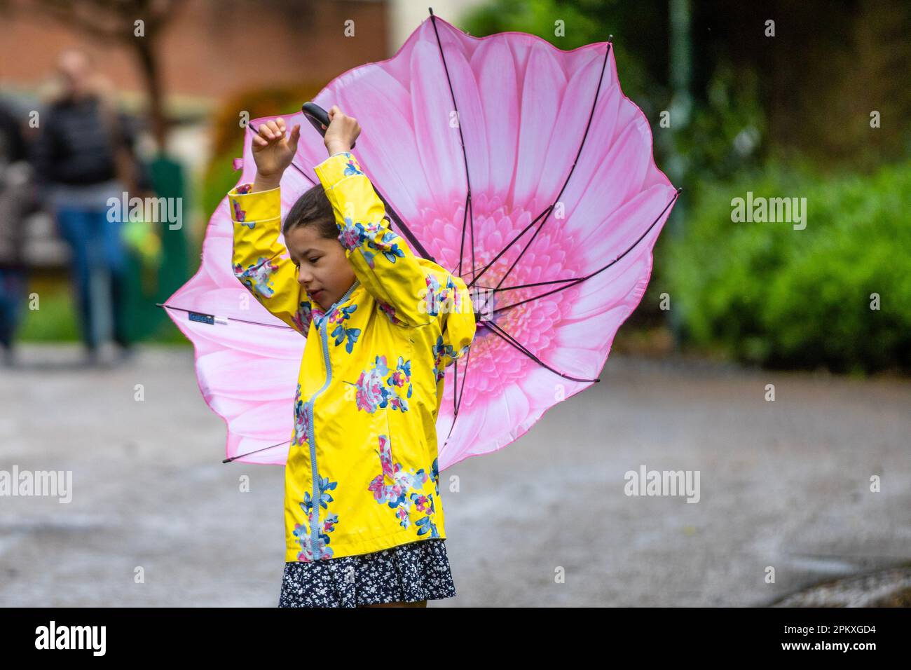 Preston Lancashire. Meteo nel Regno Unito. 10 aprile 2023. Allegra giovane ragazza in cima gialla con ombrello petalo rosa in una giornata piovosa nel centro della città. Oggi un mix di sole e docce soffocanti per la maggior parte, alcuni dei quali possono essere pesanti, con la possibilità di grandine e tuoni. Credit; MediaWorldImages/AlamyLiveNews Foto Stock