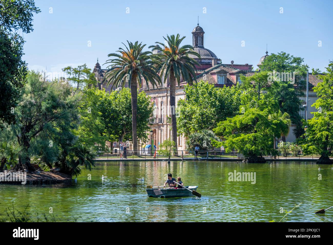 Barca a remi in un lago, parco comunale, Parc de la Ciutadella, Barcellona, Catalogna, Spagna Foto Stock