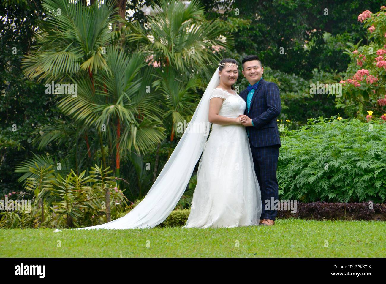 Coppia di nozze, Giardini Botanici reali, Peradeniya, Kandy, Sri Lanka Foto Stock