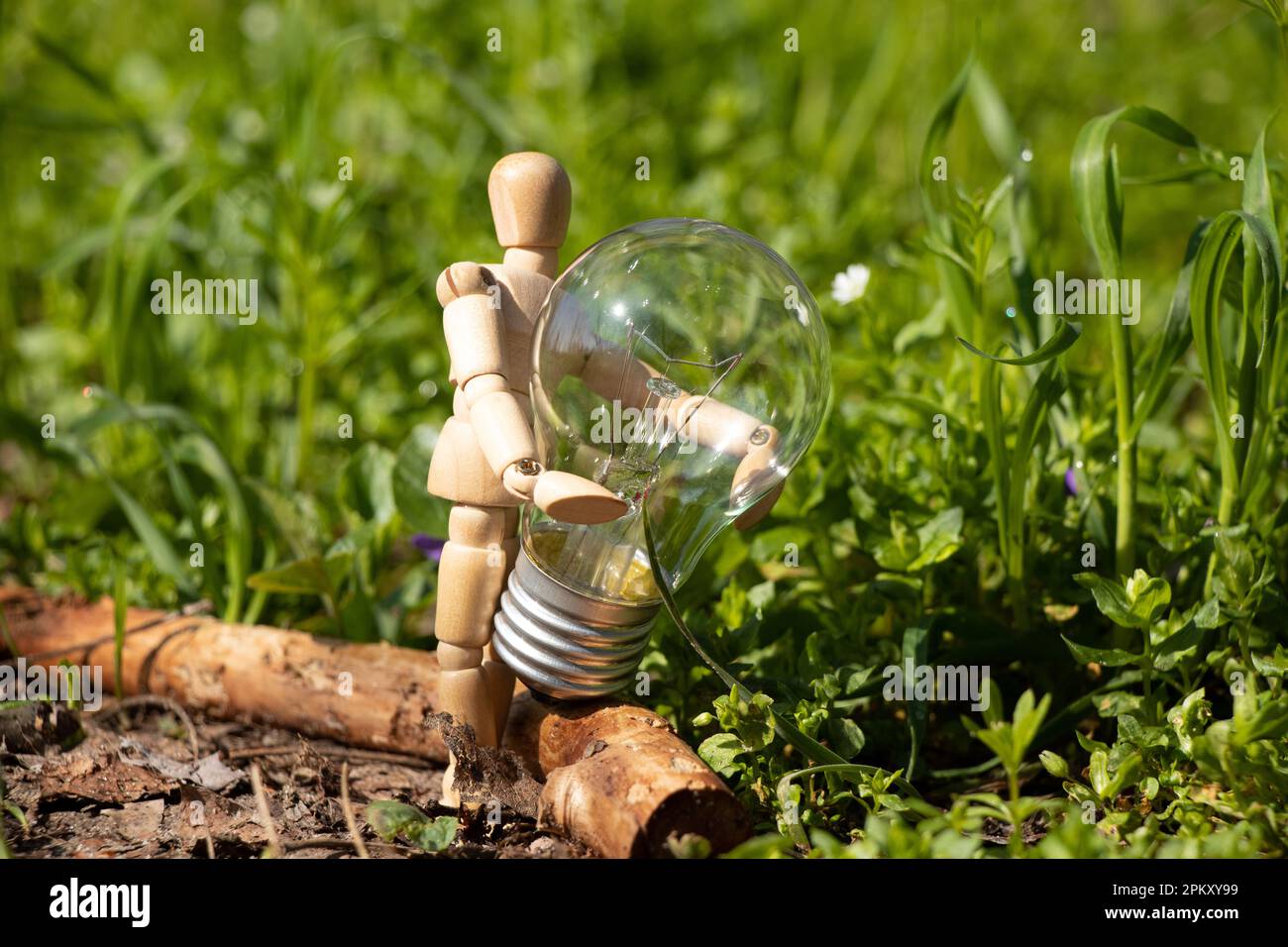 Un piccolo uomo di legno tiene una lampadina incandescente sull'erba nei parchi in Ucraina , elettricità Foto Stock