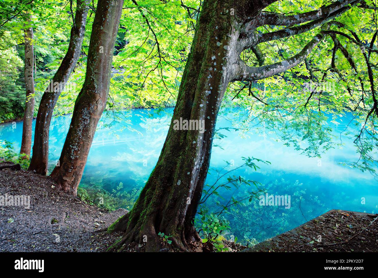 Lago Blautopf, Blaubeuren, Baden-Wuerttemberg, Germania Foto Stock