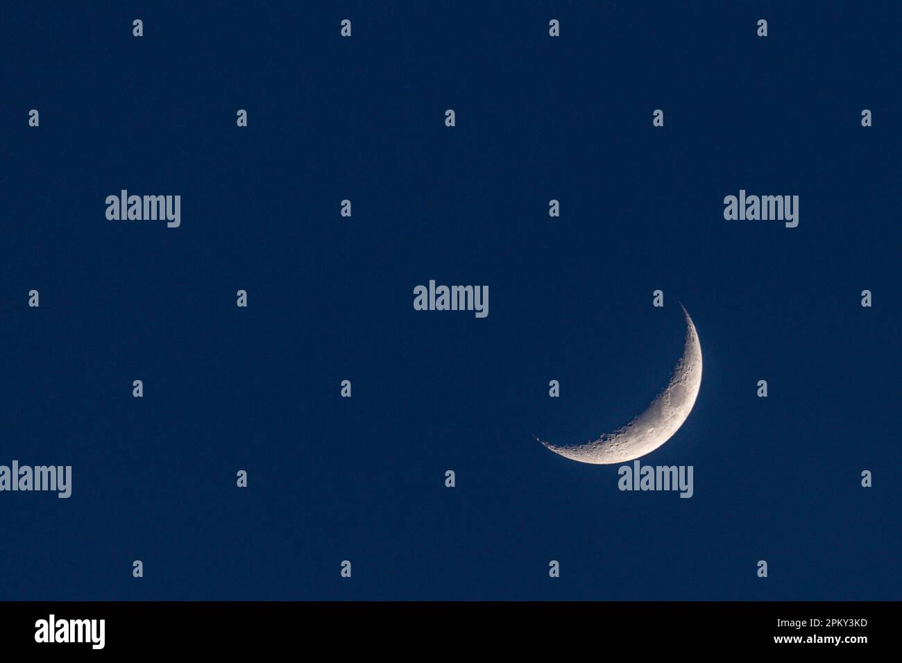 Nuova luna crescente in un cielo blu intenso crepuscolo Foto Stock