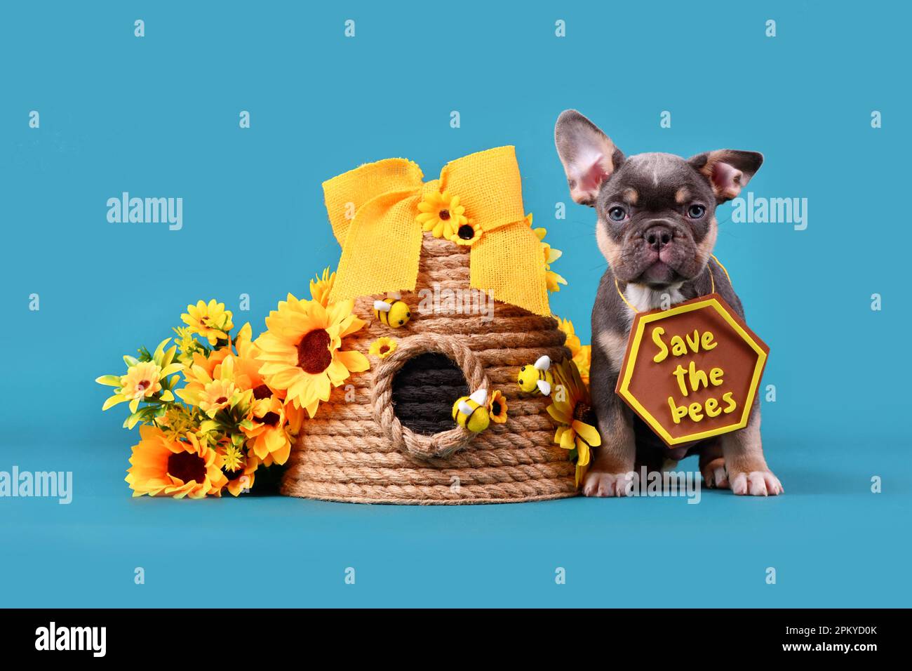 Cucciolo di cane Bulldog blu marrone francese con il cartello "Salva le api" accanto all'alveare e ai fiori su sfondo blu Foto Stock