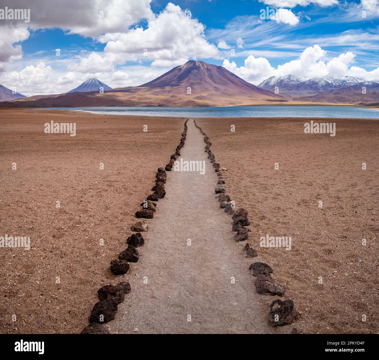 Il paesaggio del lago Miscanti, del deserto di Atacama, del Cile. Foto Stock