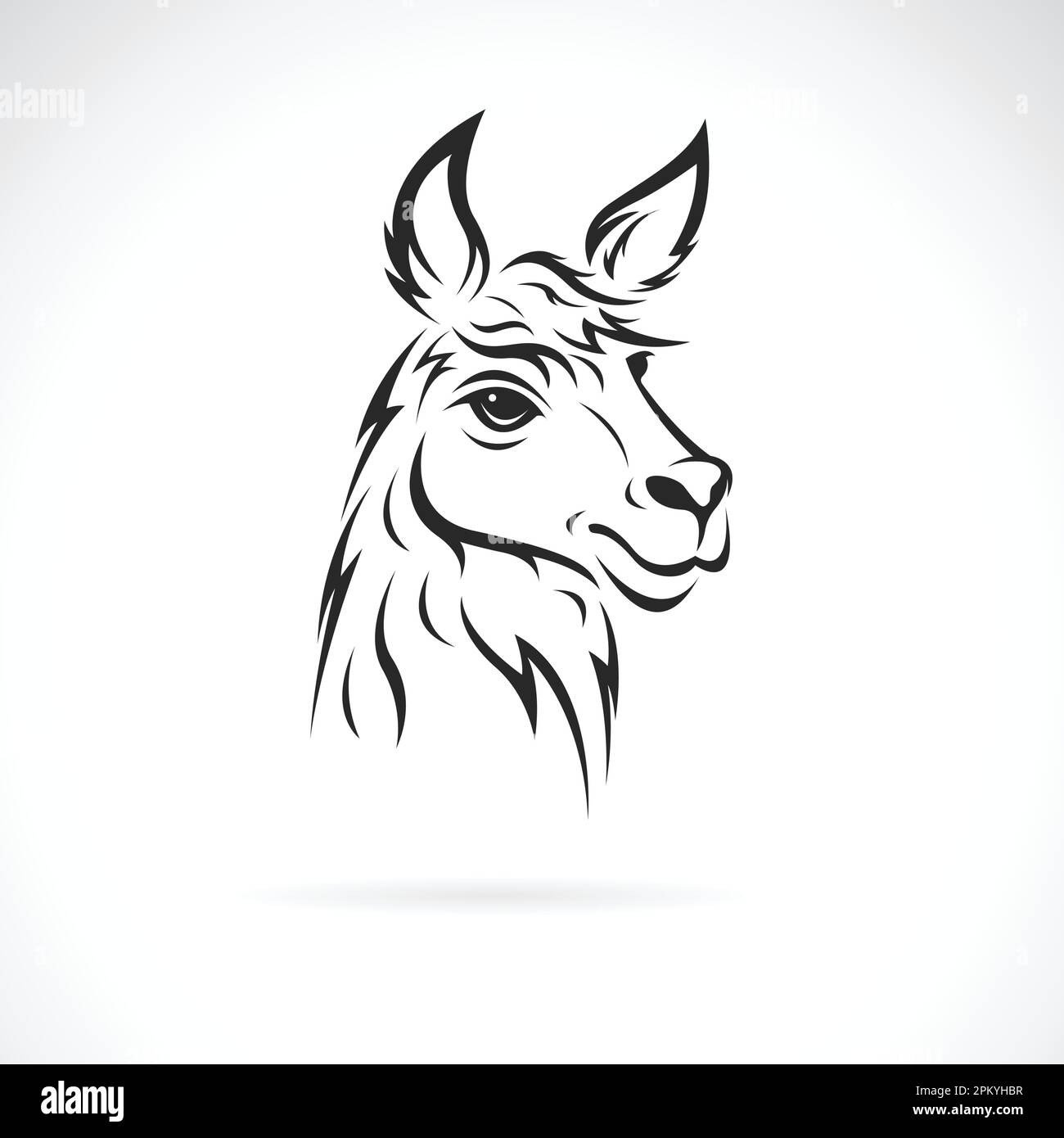 Vettore di un disegno di testa di lama su sfondo bianco. Illustrazione vettoriale a strati facilmente modificabile. Animali selvatici. Illustrazione Vettoriale