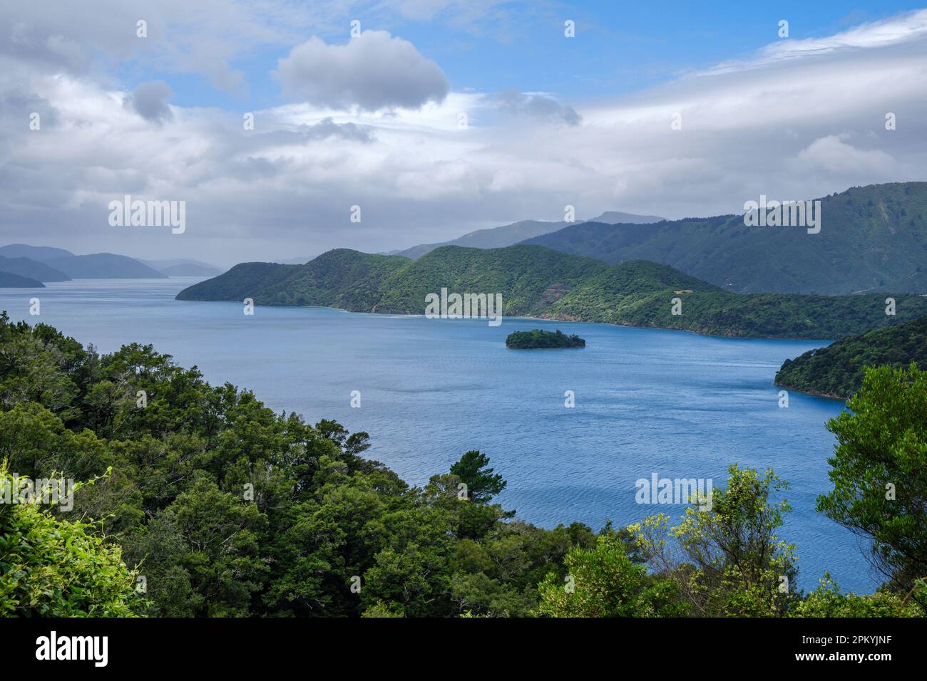 Shakespeare Bay vicino a Picton, Marlborough Sounds, South Island, Nuova Zelanda Foto Stock