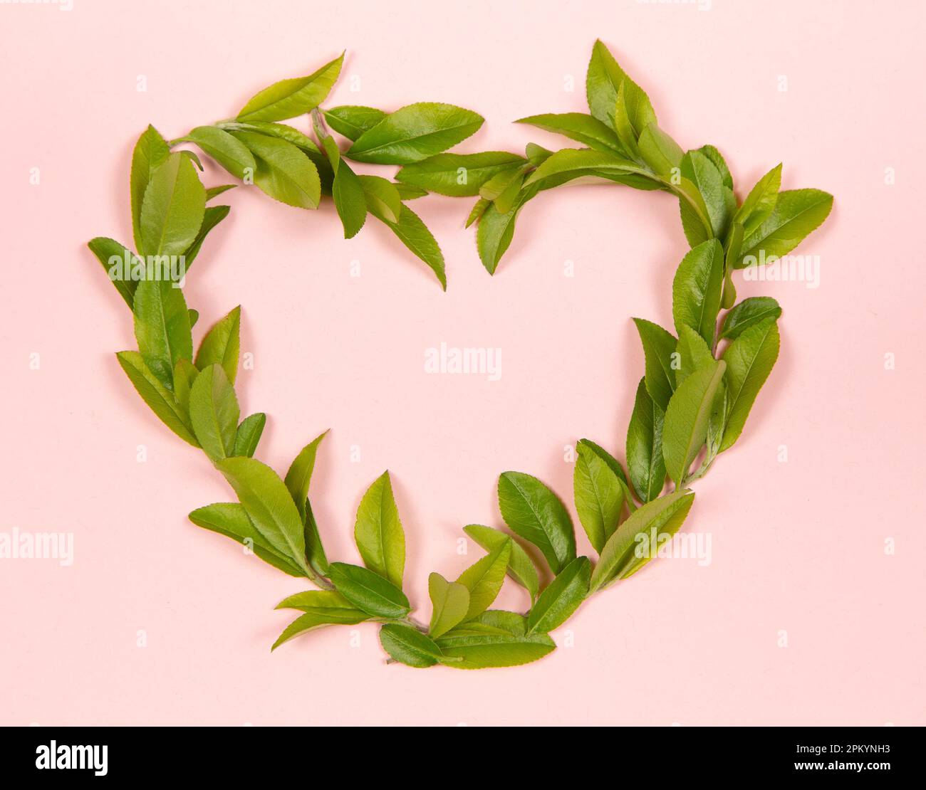 Cuore fatto di foglie verdi Foto Stock