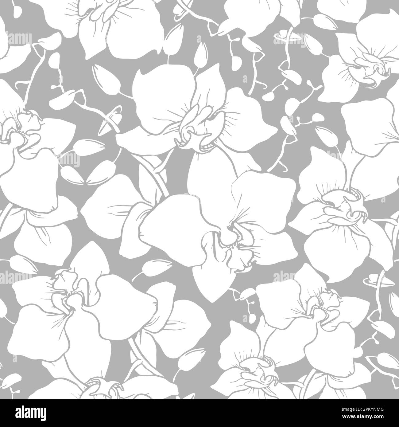 motivo senza cuciture di ampie silhouette bianche di orchidee su sfondo grigio, texture, design Foto Stock