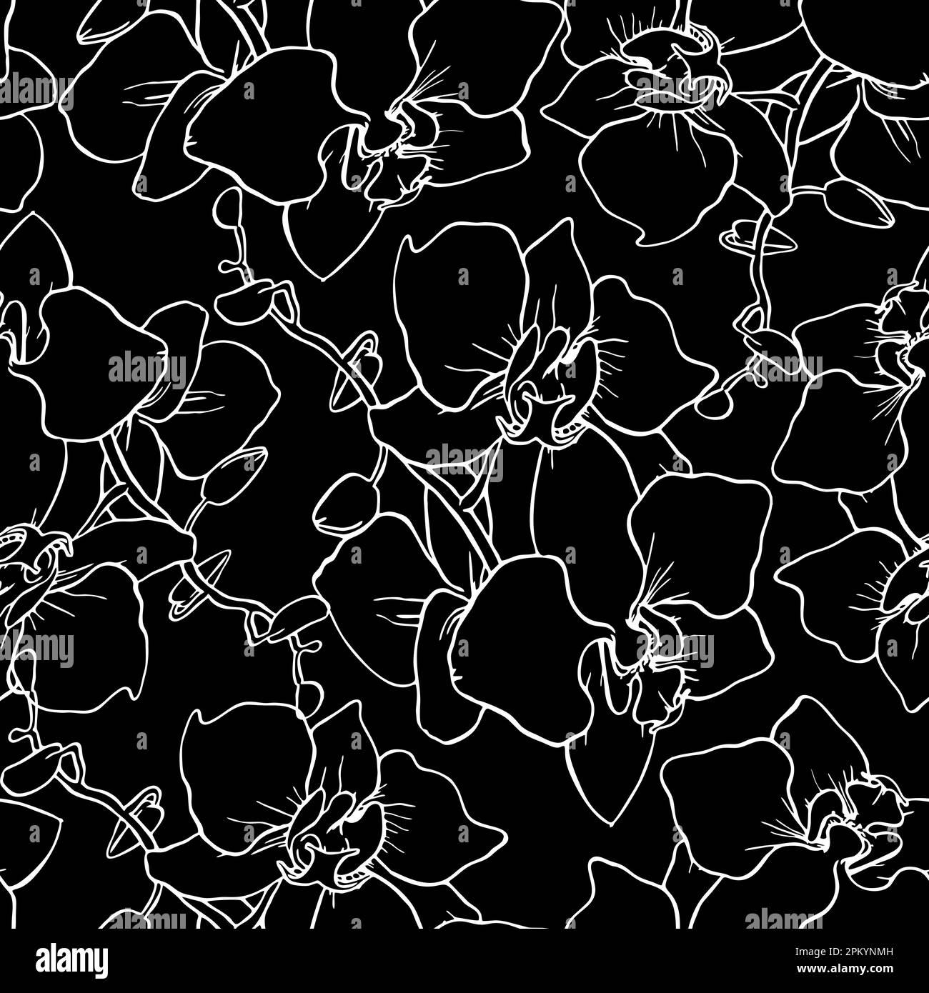 motivo senza cuciture di ampie silhouette bianche di orchidee su sfondo nero, texture, design Foto Stock