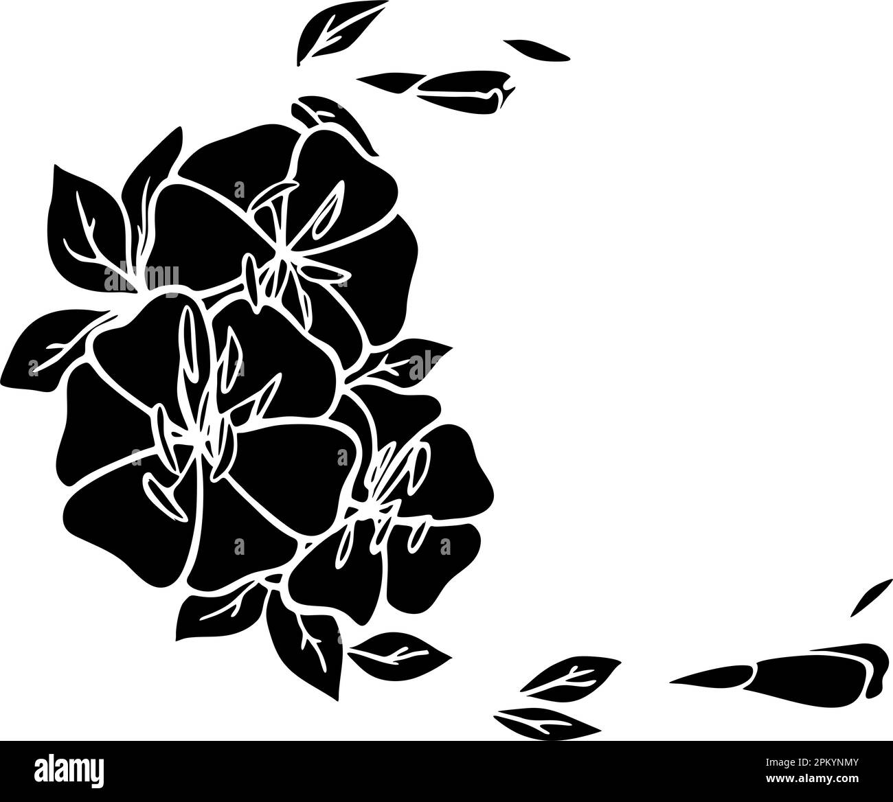 disegno contorno nero di due grandi fiori con foglie Foto Stock