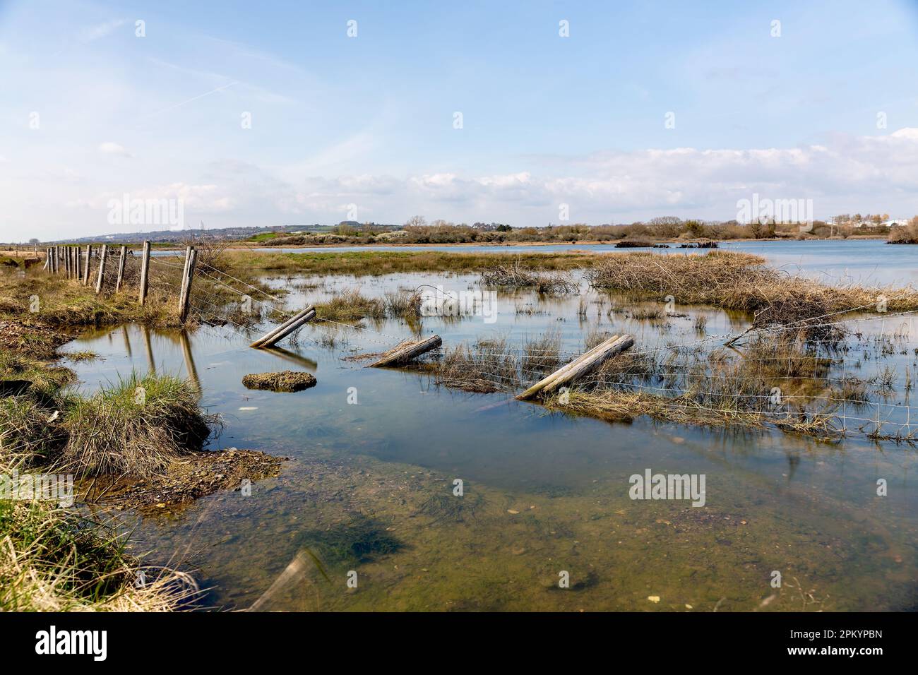 Seawall ha fatto irruzione a Langstone vicino ad Havant, sulla costa meridionale del Regno Unito. Campi allagati e terreni agricoli che sembrano più un habitat paludoso. Foto Stock