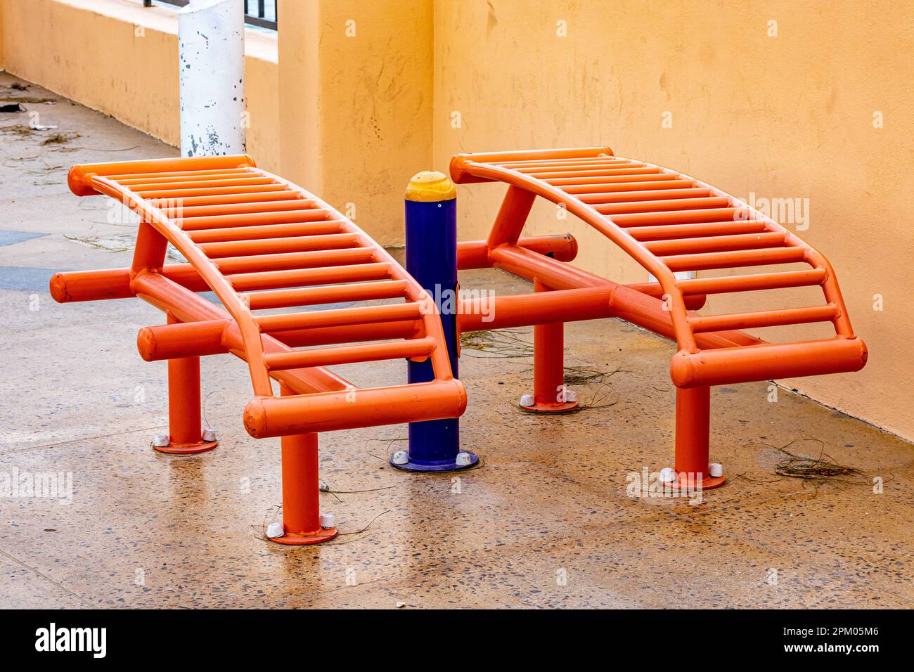 Due tubulari aperti arancioni si siedono sulle panchine in una palestra all'aperto sul lungomare contro la parete gialla sullo sfondo, foglie asciutte su terreno bagnato, giornata nuvolosa a Baja Foto Stock