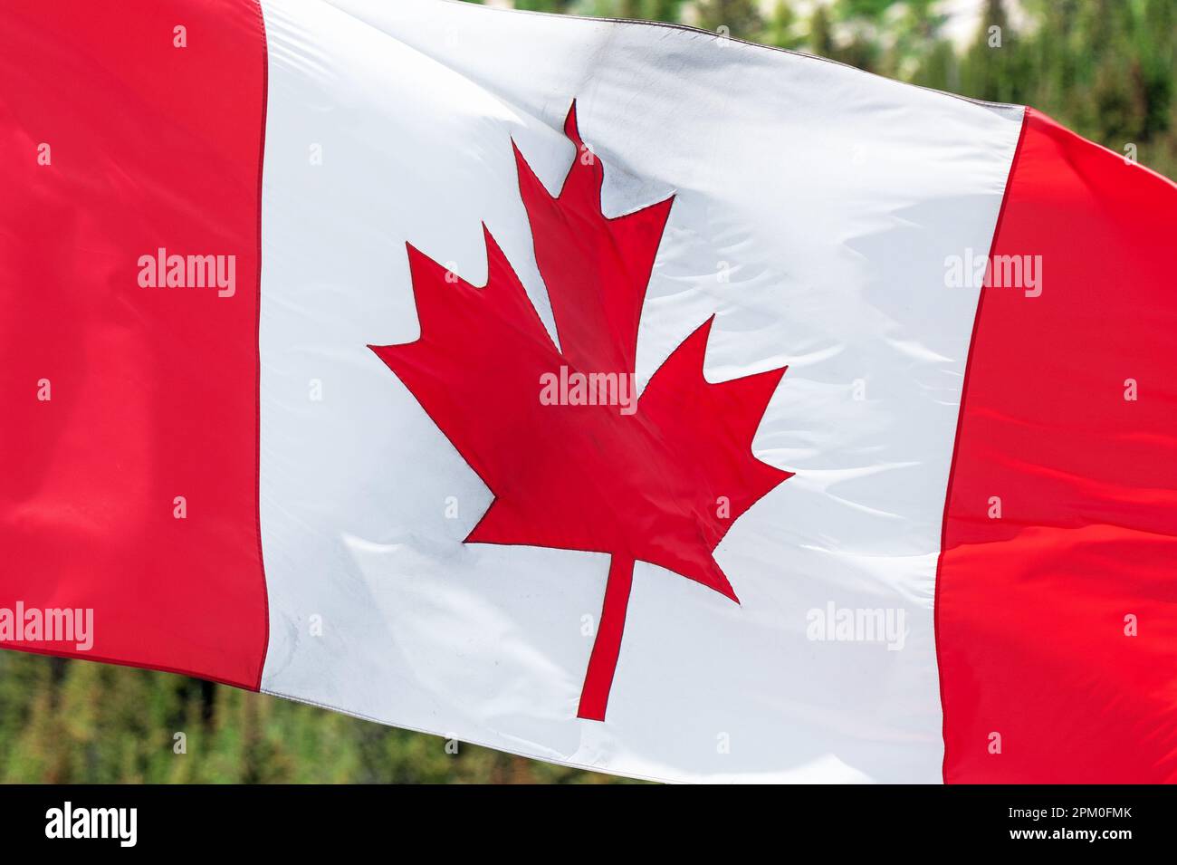 Bandiera canadese nel parco nazionale di Banff, Canada. Foto Stock