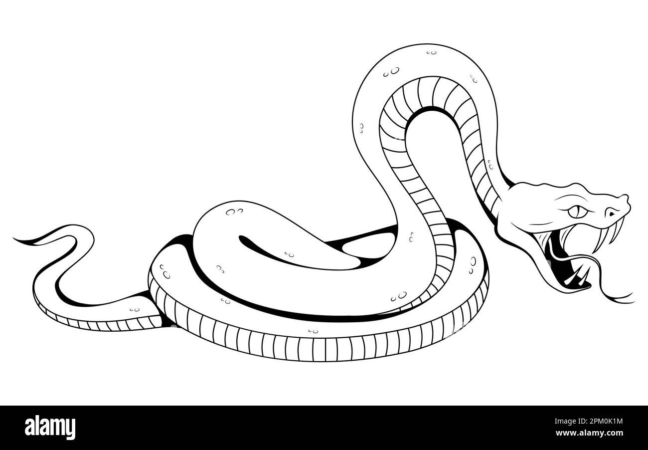 Serpente. Disegno di illustrazione vettoriale del serpente tropicale del tatuaggio Illustrazione Vettoriale