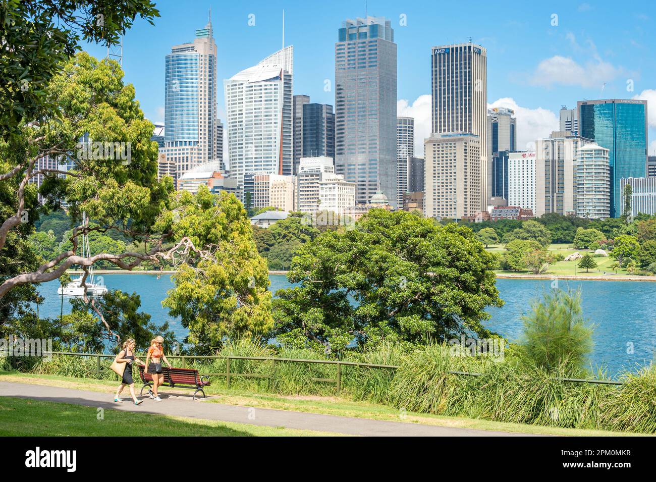 Skyline di Sydney visto da Mrs Macquaries Point Foto Stock