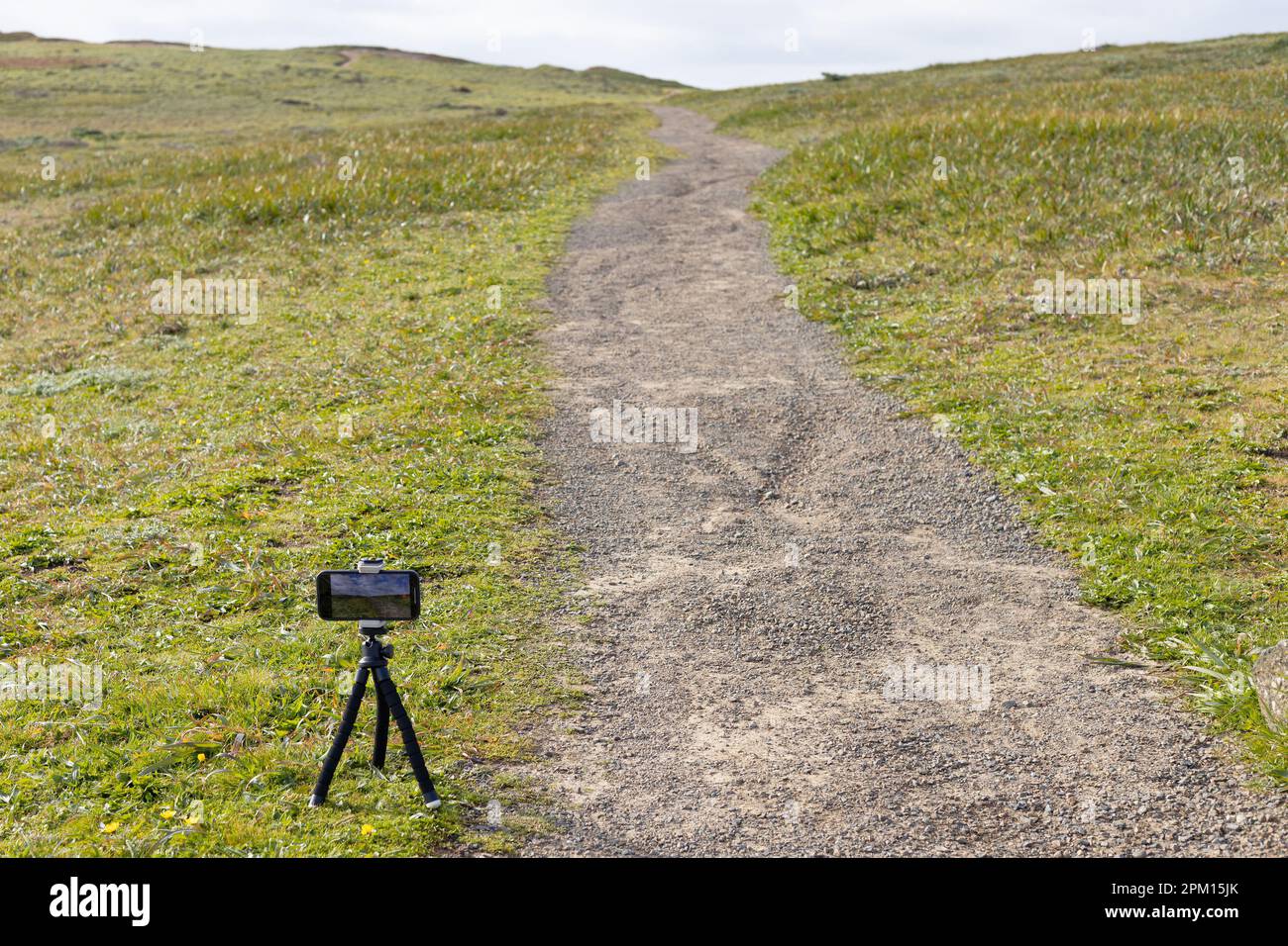 Un iPhone su un piccolo treppiede puntato verso un sentiero escursionistico a Bodega Head in California, come visto da dietro. Foto Stock