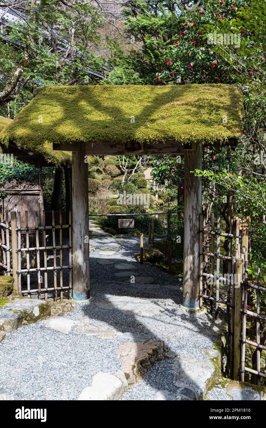 Jakko-in è un vecchio tempio che si dice sia stato costruito dal principe Shotoku, il monastero dove ho trascorso il mio tempo. Il nome ufficiale del tempio Foto Stock
