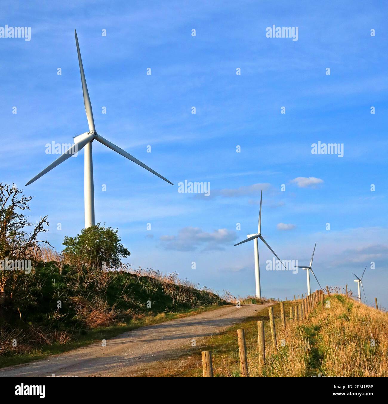 BRE Group BREGroup.com , Peel Energy Frodsham Wind Farm, capacità installata 50MW, Lordship Lane, Frodsham, Cheshire, INGHILTERRA, REGNO UNITO, WA6 7SN Foto Stock